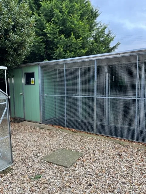Bassodon Boarding Cattery - Bourne pet otel görseli 3