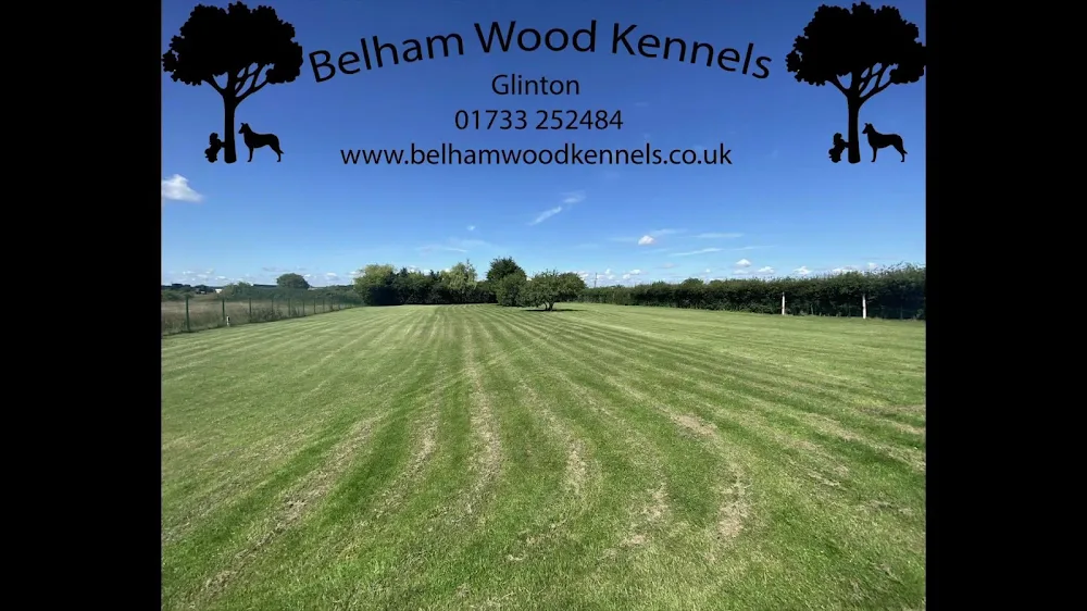 Belham Wood Kennels - Bourne pet otel