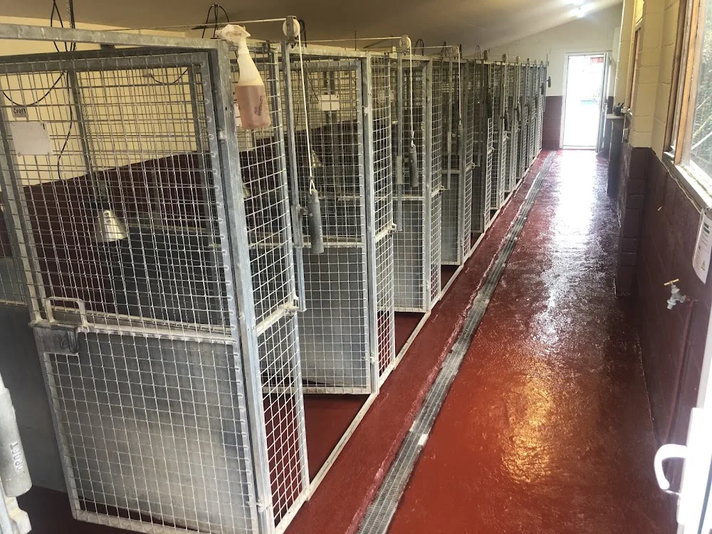 Khinjan Boarding Kennels & Cattery - Bourne pet otel görseli 3