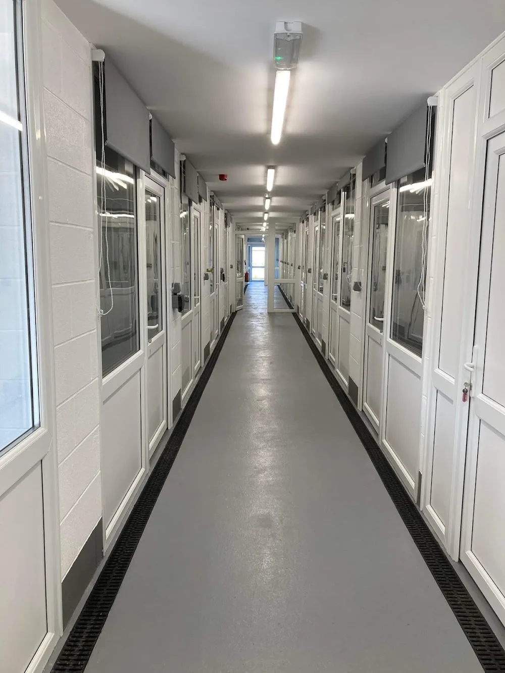 Six Acres Boarding Kennels - Bourne pet otel görseli 3