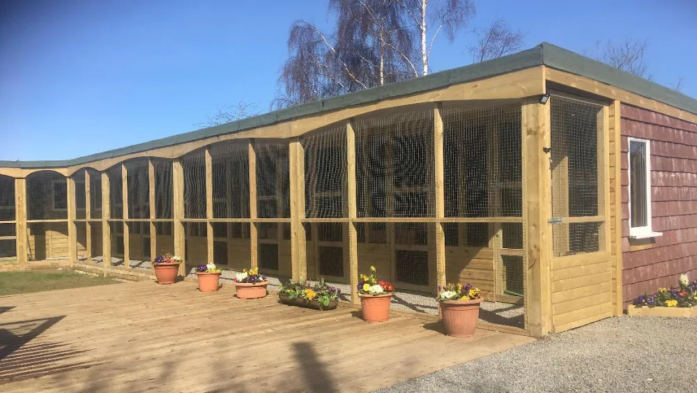 Stevedon Cattery & Small Pets - Bourne pet otel