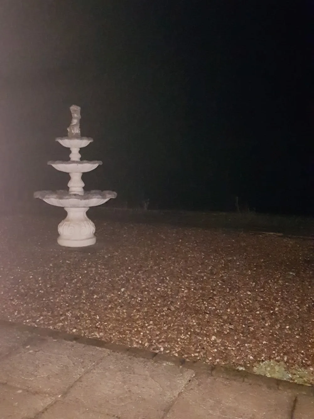The Firs Kennels & Cattery - Bourne pet otel