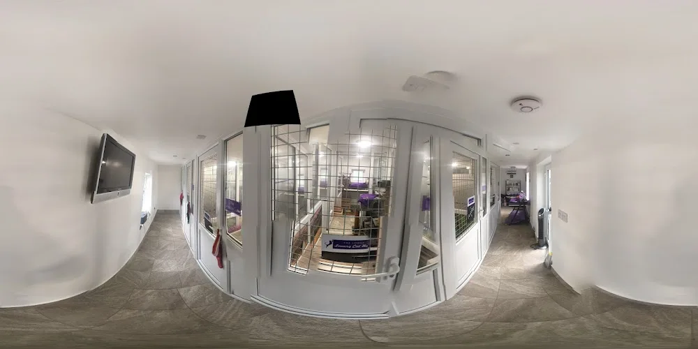The Lodge Luxury Cat Hotel - Bourne pet otel görseli 3