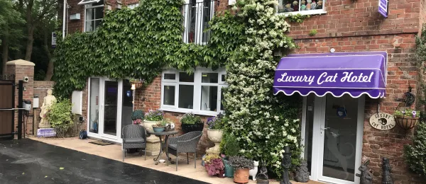 The Lodge Luxury Cat Hotel - Bourne pet otel görseli 4