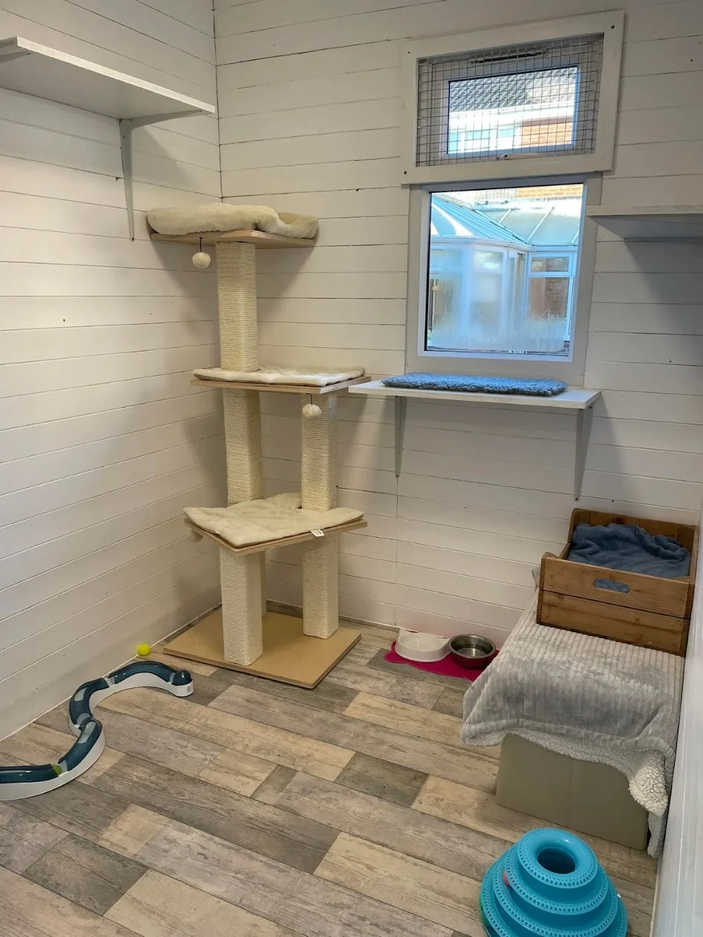 New Milton Cattery - Bournemouth, Christchurch and Poole pet otel