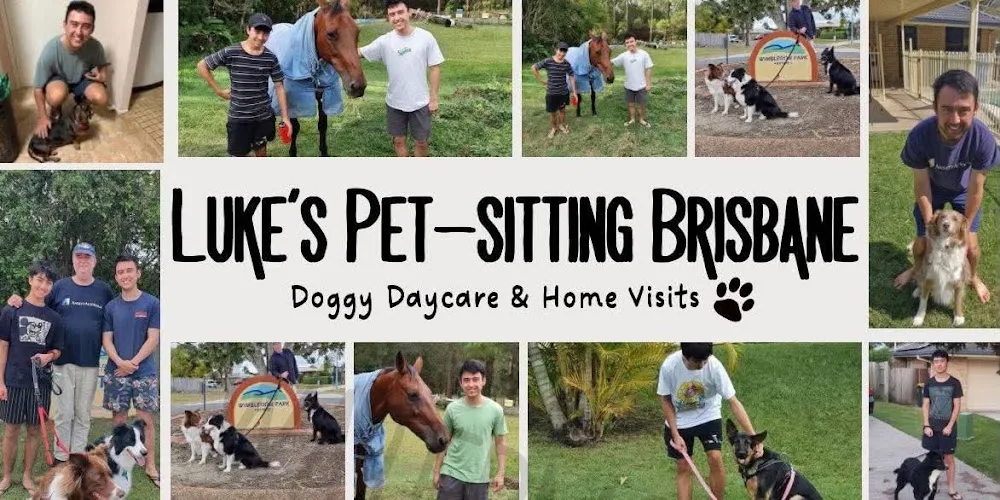 Luke's pet sitting Brisbane Northside - Bracken Ridge pet otel görseli 7