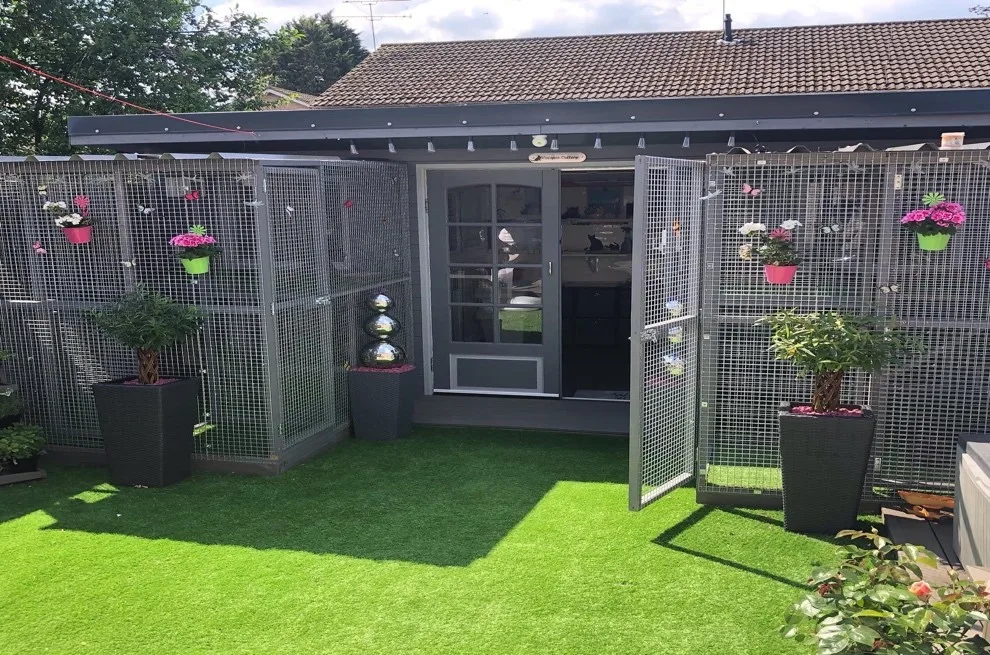 Catopia Deluxe Cattery - Bracknell Forest pet otel
