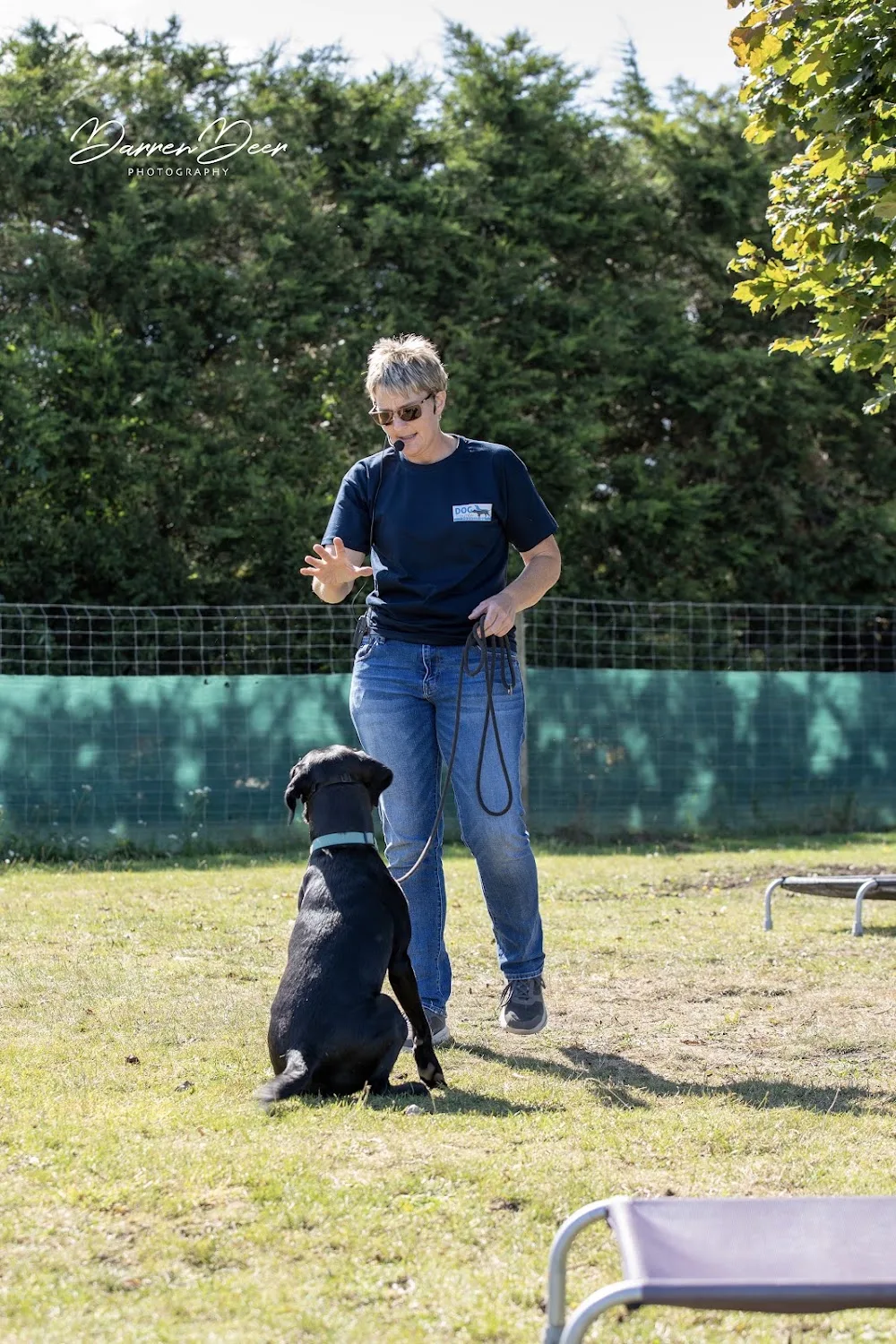 Dog Trouble - Boarding, Behaviour Training and Wellness Centre - Bracknell Forest pet otel