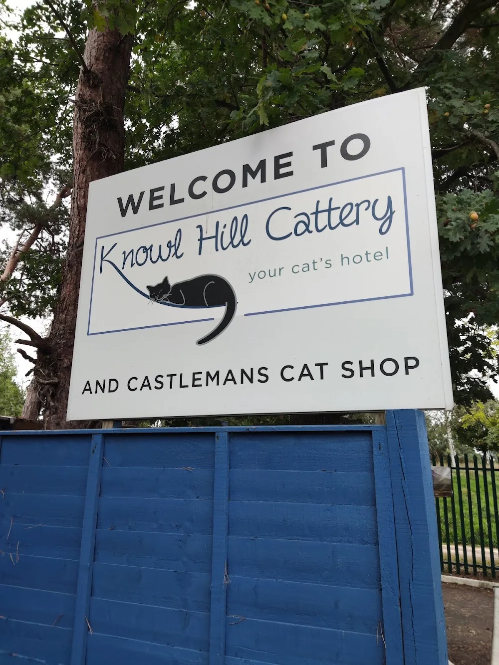 Knowl Hill Cattery - Bracknell Forest pet otel görseli 2