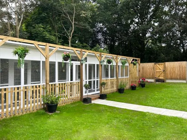 Longcroft Luxury Cat Hotel Crowthorne - Bracknell Forest pet otel