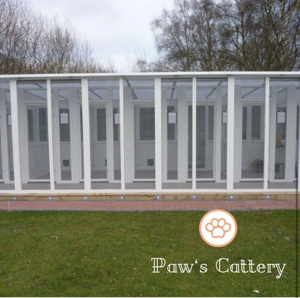 Paws cattery - Bracknell Forest pet otel görseli 3
