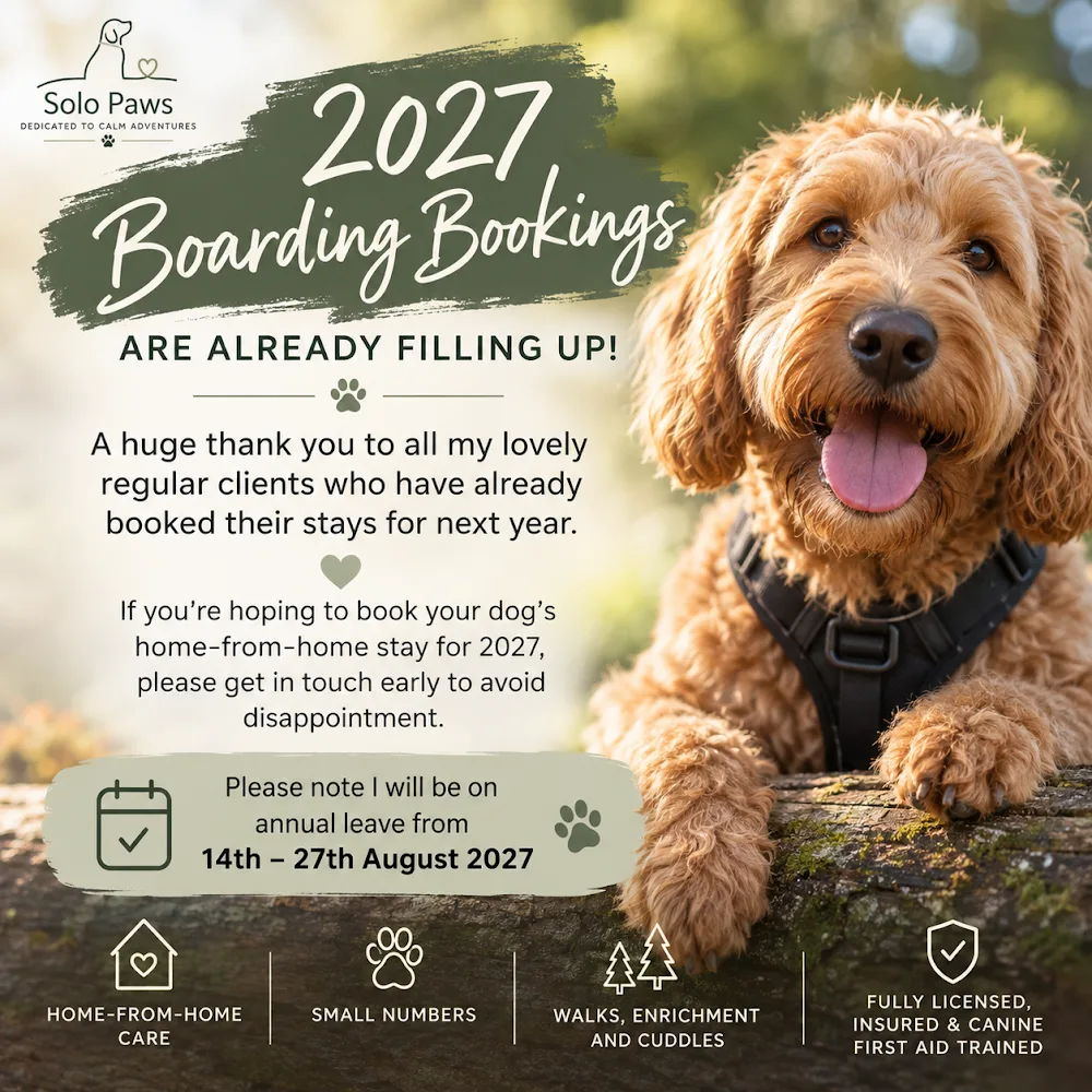 Solo Paws (Berkshire) dog walking and boarding in Bracknell - Bracknell Forest pet otel