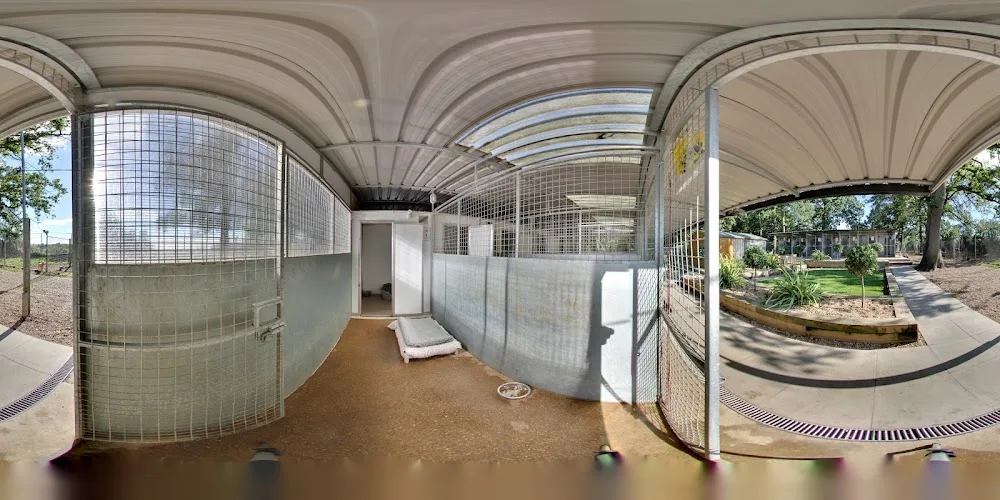 Tarbay Centre Kennels and Cattery - Bracknell Forest pet otel görseli 4