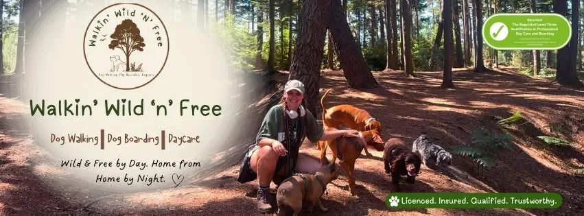 Walkin’ Wild ‘n’ Free - Dog Walking & Dog Boarding - Bracknell Forest pet otel