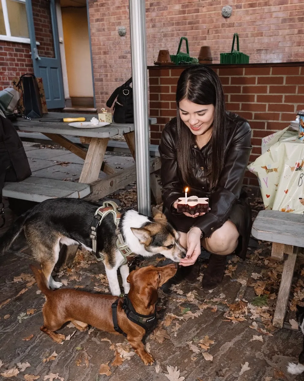 Walkin’ Wild ‘n’ Free - Dog Walking & Dog Boarding - Bracknell Forest pet otel görseli 3