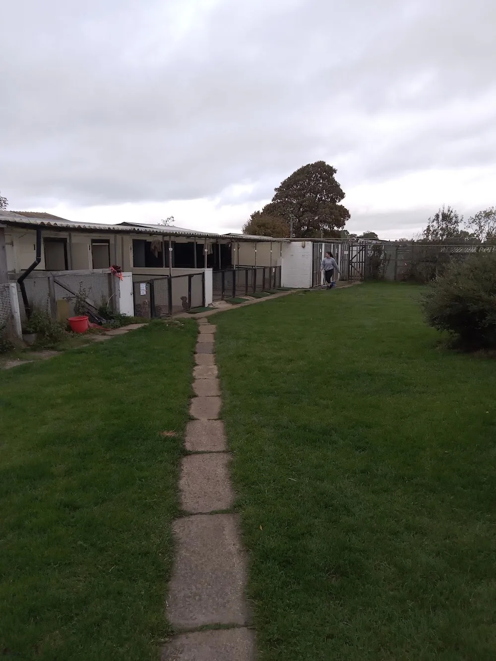 Sunnymead Boarding Kennels & Cattery - Bradford pet otel