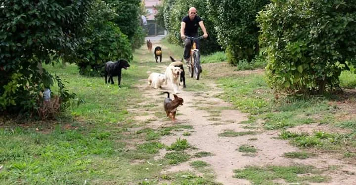Canisa - Hotel Canino - Braga pet otel