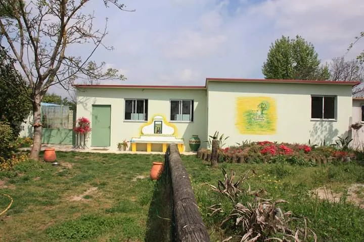 Canisa - Hotel Canino - Braga pet otel görseli 3