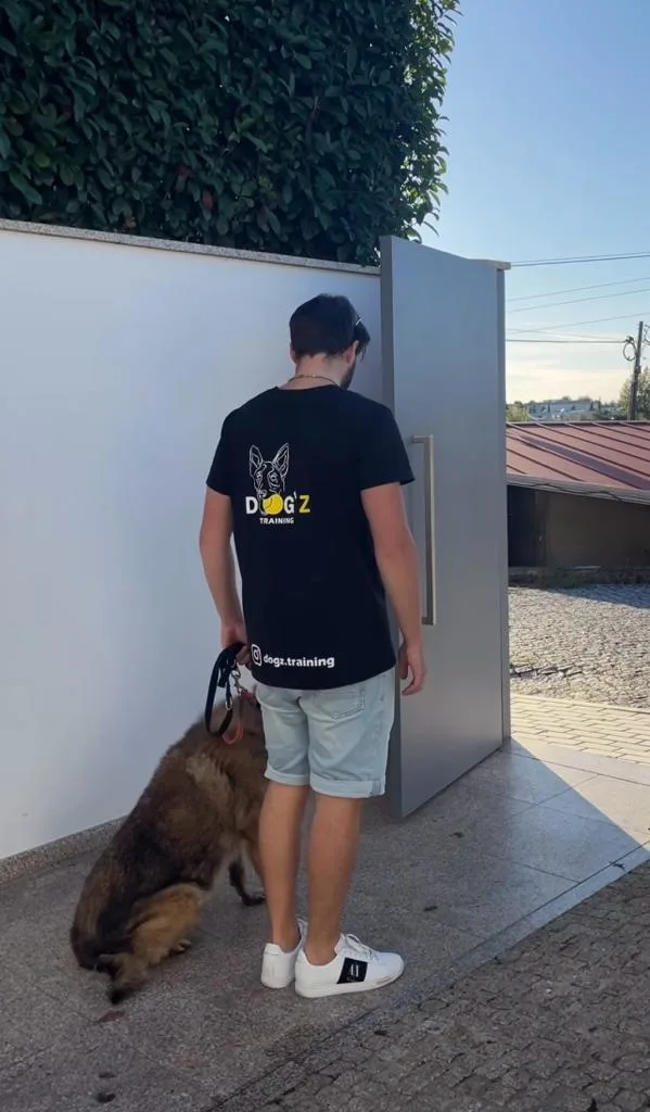 Dog'Z Training & Hotel - Braga pet otel görseli 3