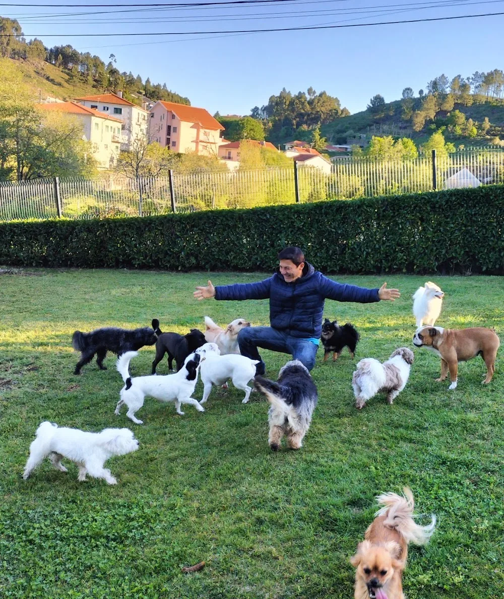 Frajola dog Grooming, hotel para cães - Braga pet otel
