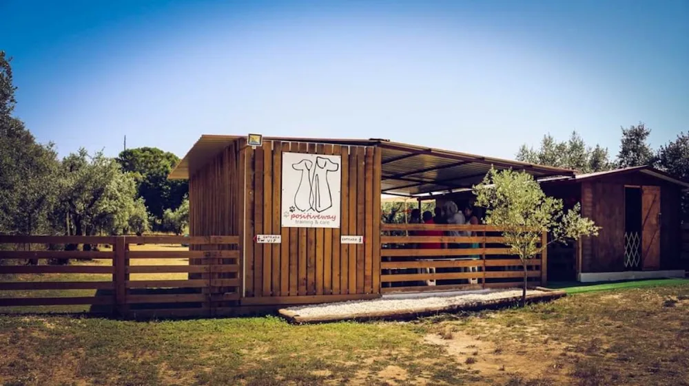 Positive Way Animals- Educação, Treino, Hotel Canino, Daycare, Banhos e Tosquias - Bragança pet otel
