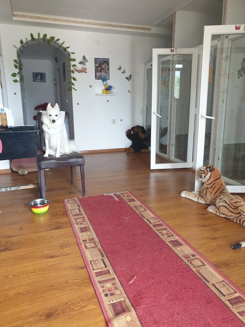 Hotel Canin Totto - Brăila pet otel görseli 3