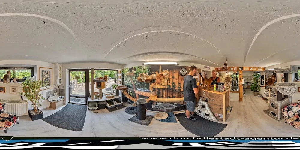 Danas Katzenpension - Brandenburg pet otel görseli 3