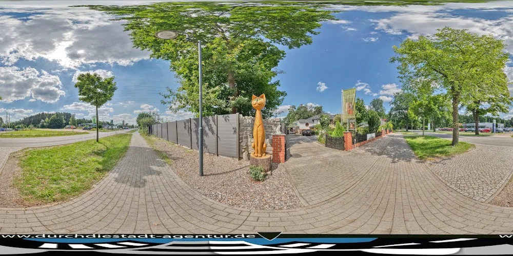 Danas Katzenpension - Brandenburg pet otel görseli 4