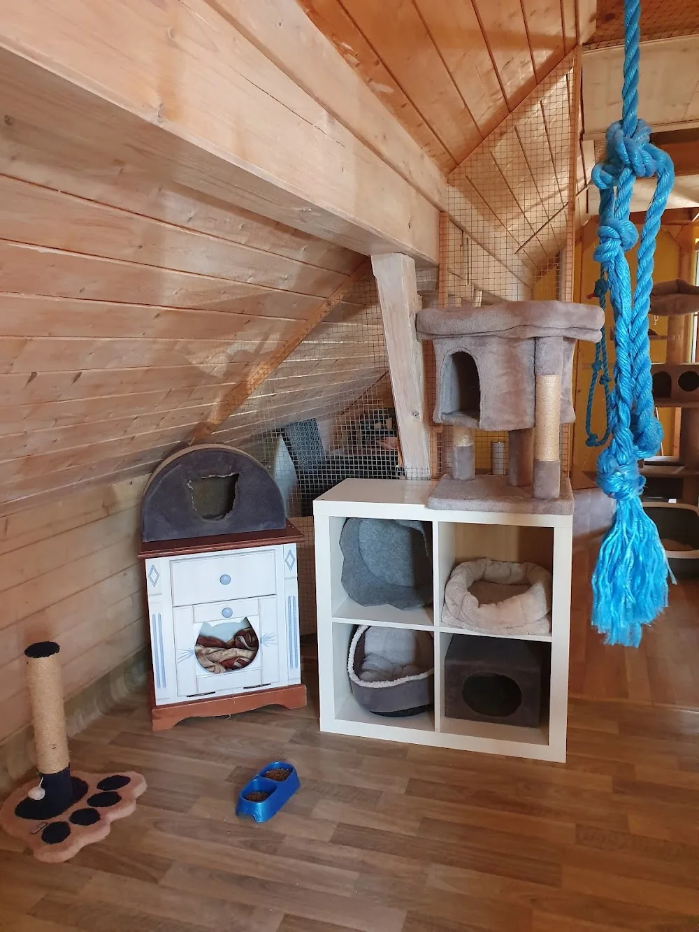 Das Katzenhaus - Brandenburg pet otel görseli 3