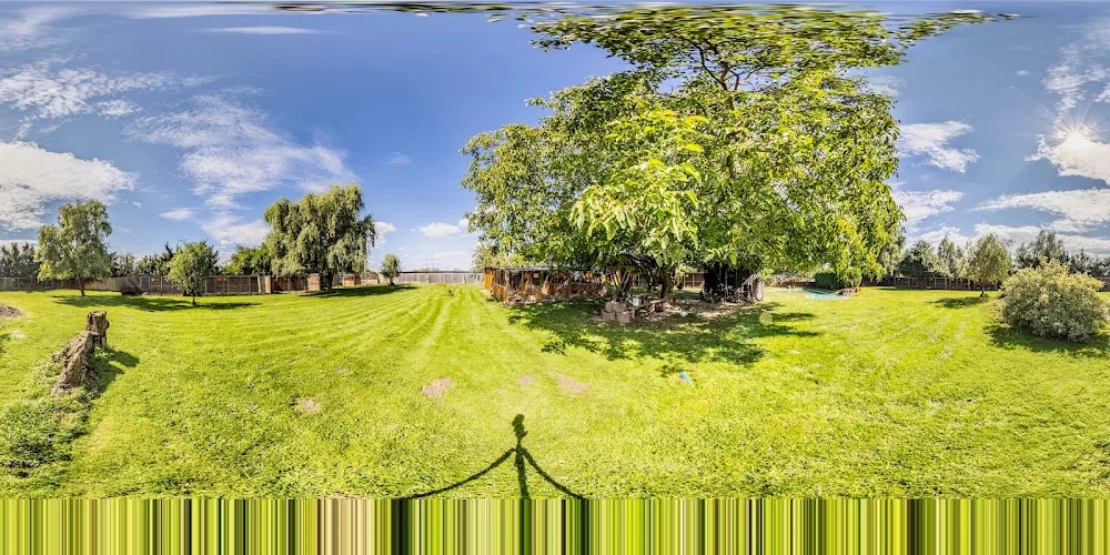 Hundepension Wustermark - Brandenburg pet otel görseli 4