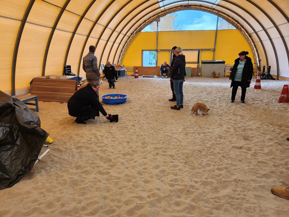 Hundeschule & Hundepension PRO-DOG - Brandenburg pet otel