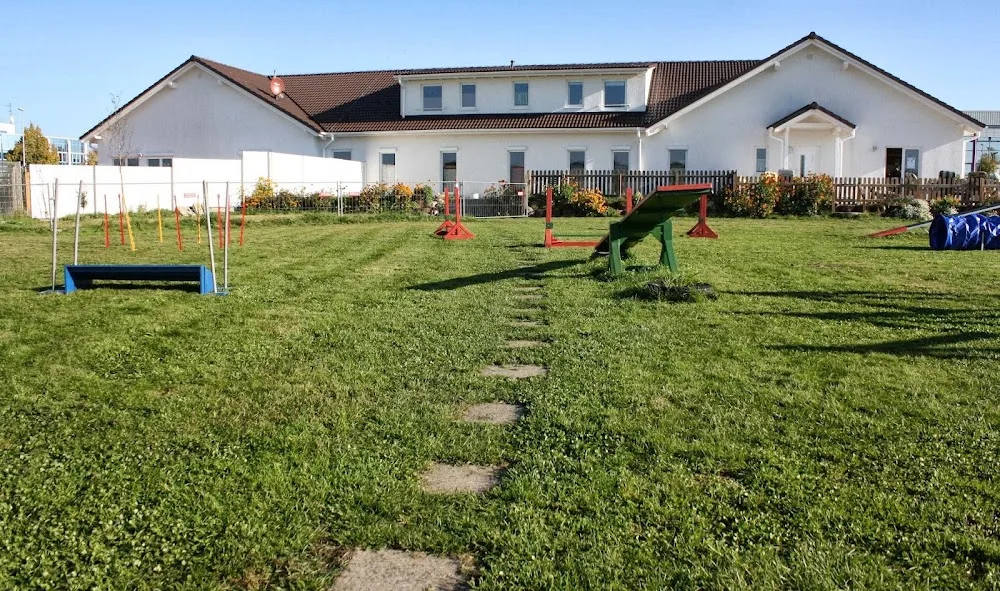 Hundeschule & Hundepension PRO-DOG - Brandenburg pet otel görseli 3