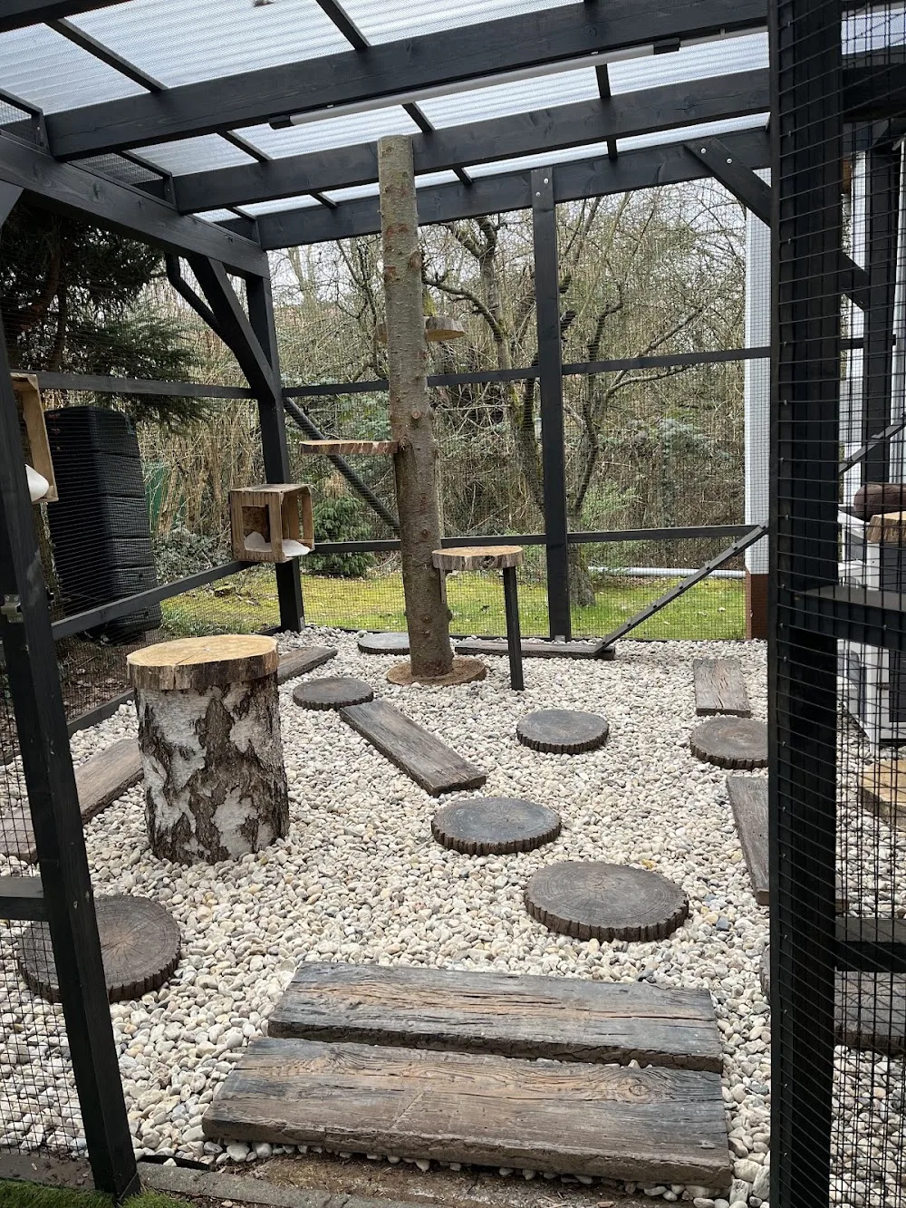 Katzenkuschelhaus - Brandenburg pet otel görseli 3