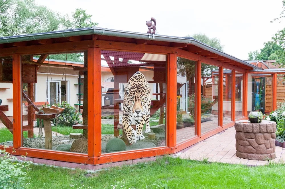Katzenparadies in Willmersdorf - Brandenburg pet otel