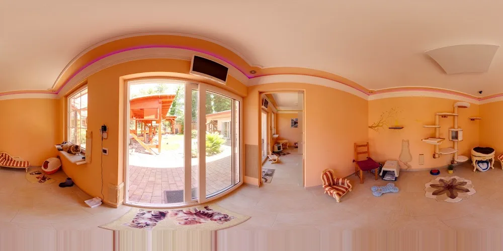 Katzenparadies in Willmersdorf - Brandenburg pet otel görseli 3