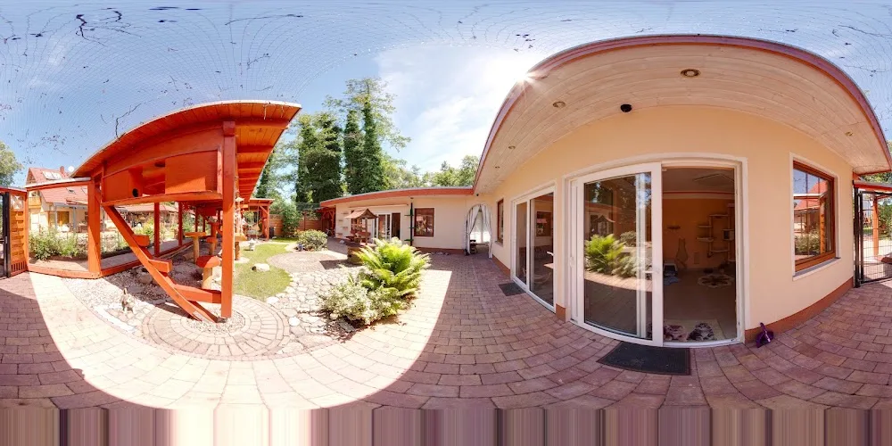 Katzenparadies in Willmersdorf - Brandenburg pet otel görseli 4