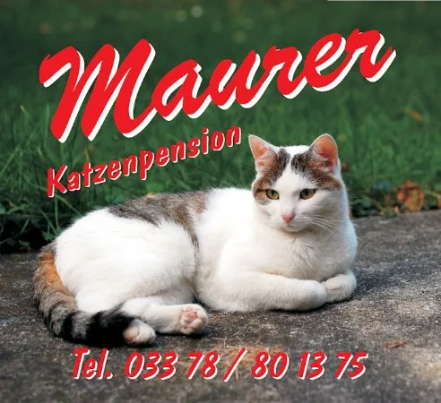 Katzenpension Maurer - Brandenburg pet otel görseli 2