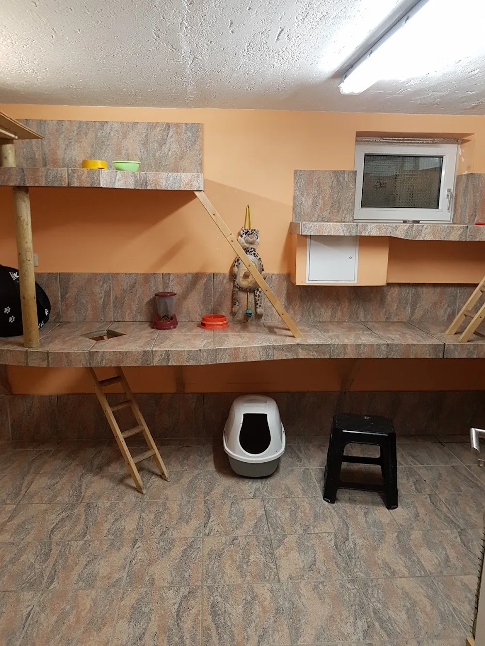 Katzenpension Tragert - Brandenburg pet otel görseli 3