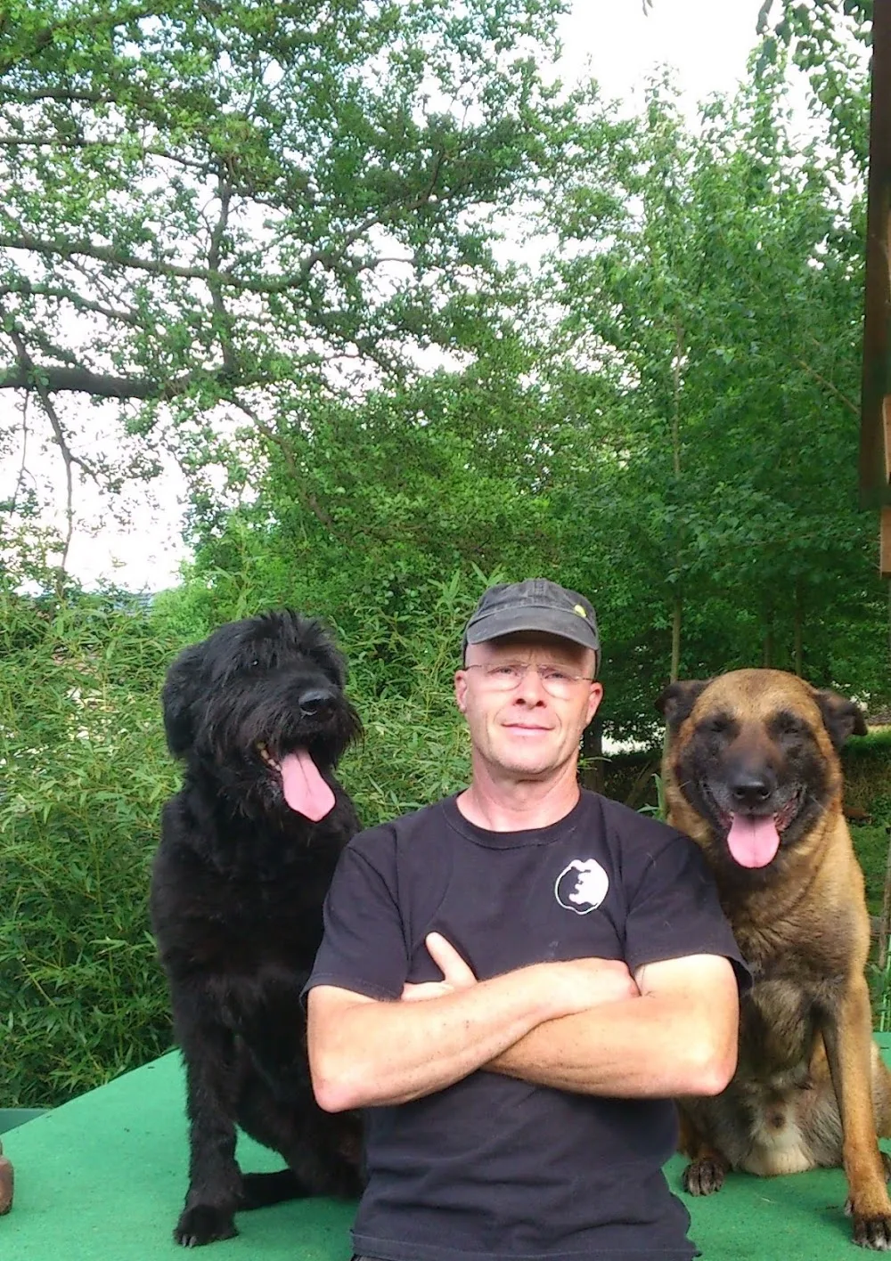 "kein-hundeleben" Hundeschule, Tagesbetreuung, Hundepension - Brandenburg pet otel