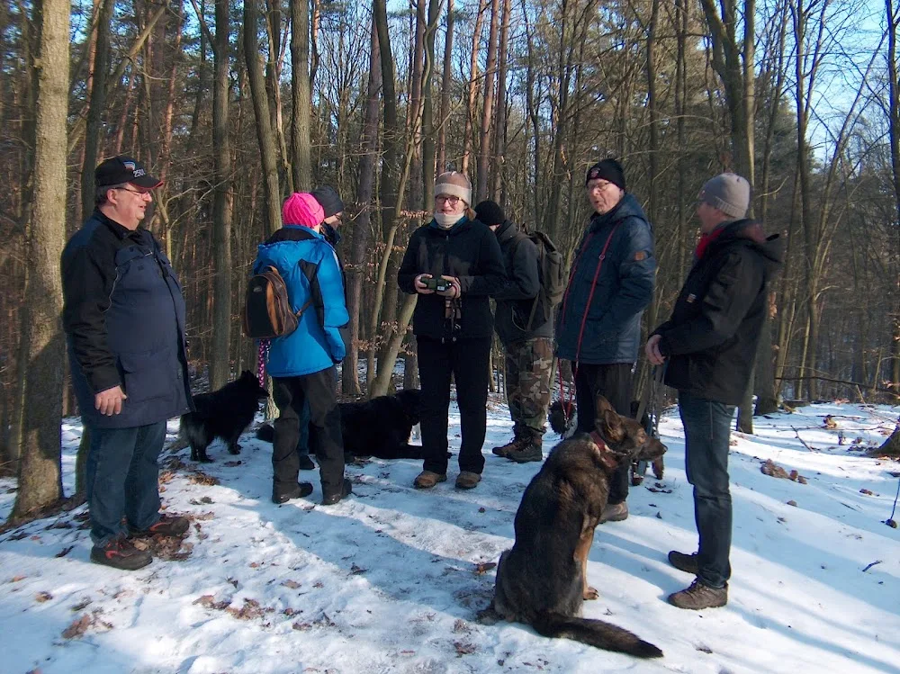 Lehmann Heidemarie Hundeschule und Tierpension - Brandenburg pet otel görseli 3
