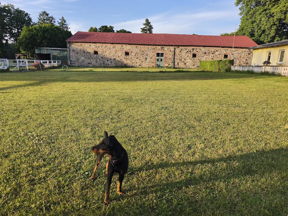 Pfoten Hotel Ruppiner Land - Brandenburg pet otel