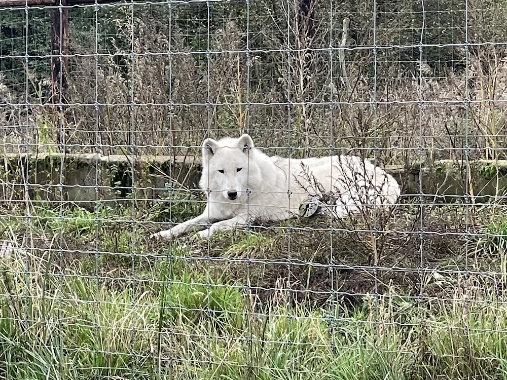 Sirius-Hundepension - Brandenburg pet otel görseli 4