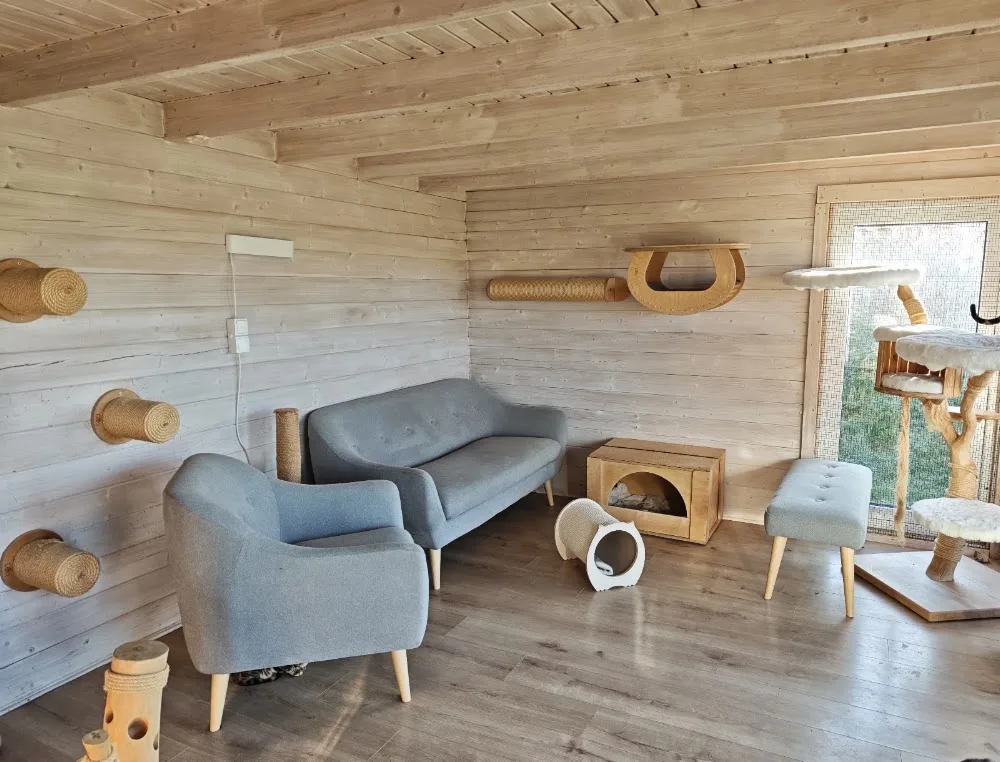Tierpension Katzenpension – ein Zuhause auf Zeit - Brandenburg pet otel görseli 3