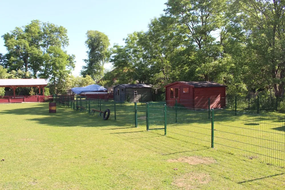 Tierpension Vallentinhof - Brandenburg pet otel görseli 3