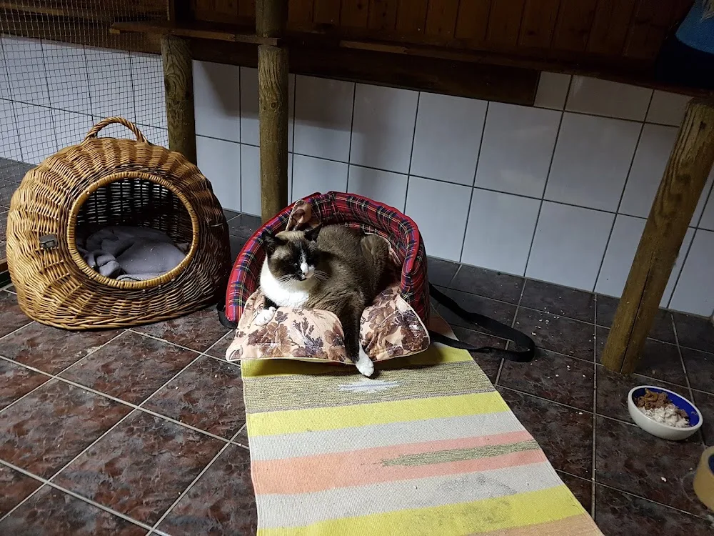 Tierpension zum Hasenberg - Brandenburg pet otel görseli 3