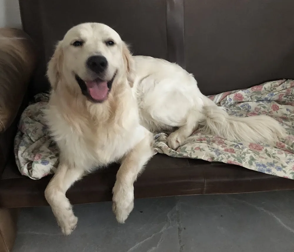 Urlaubsbetreuung-Hund .de - Brandenburg pet otel görseli 2