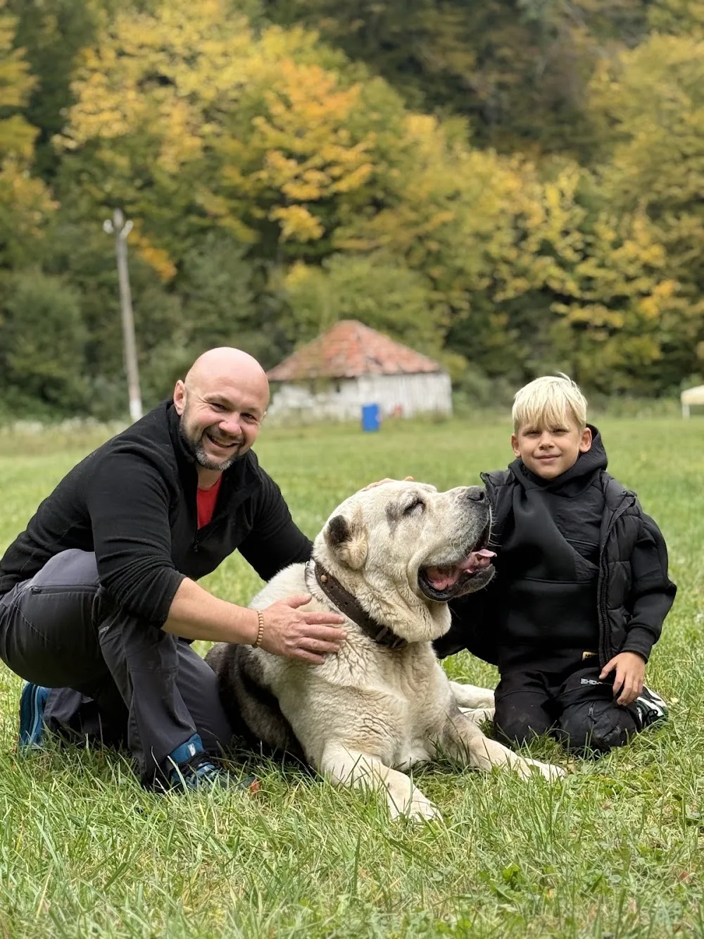 King Cao kennel - Brașov pet otel görseli 3