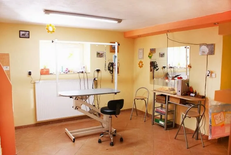 Nikol Hajmonová - Stříhání, barvení a jiné úpravy psů - Břeclav pet otel görseli 3