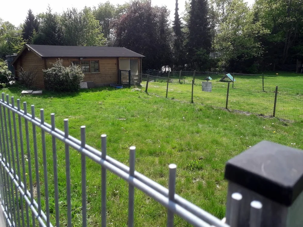 Lemmis Hunde- Tagesstätte - Bremen pet otel