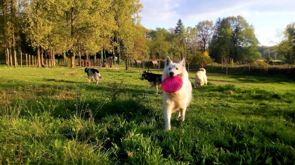 A l'orée de bubry - Bretagne pet otel görseli 3